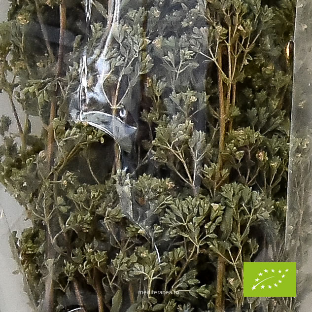 Oregano bio
