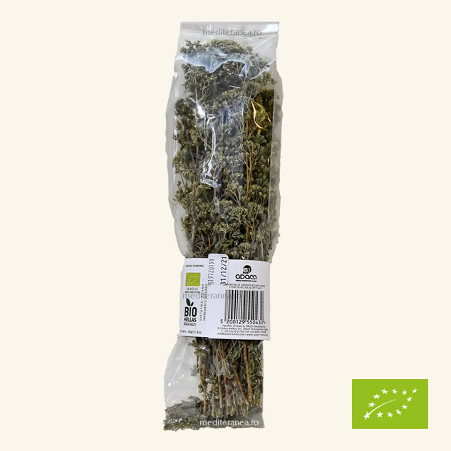 Oregano bio
