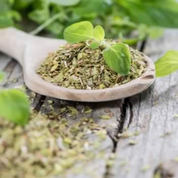 Oregano - bucuria muntelui